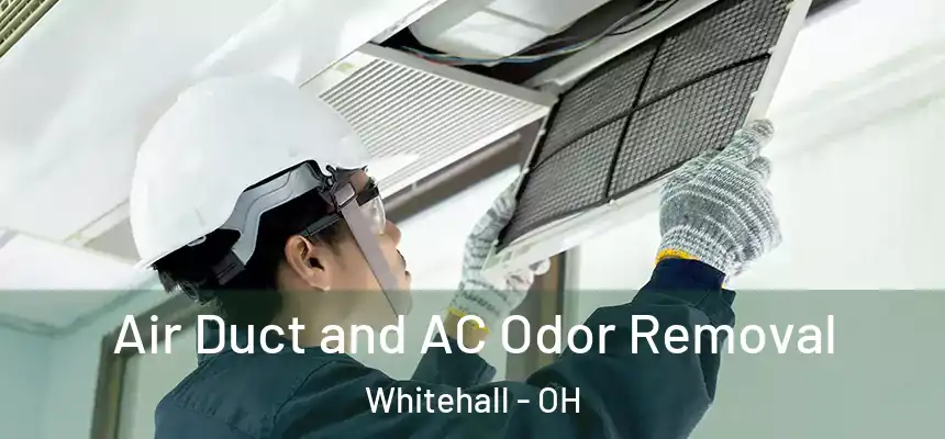  Air Duct and AC Odor Removal Whitehall - OH