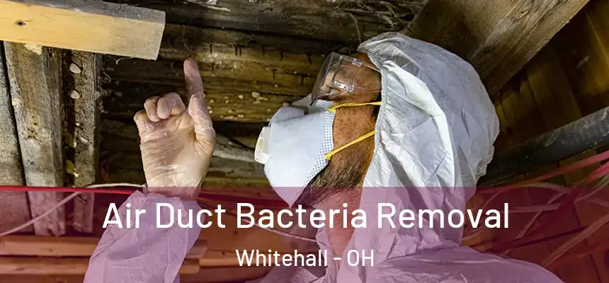 Air Duct Bacteria Removal Whitehall - OH