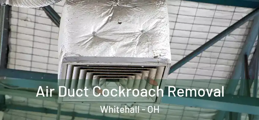 Air Duct Cockroach Removal Whitehall - OH