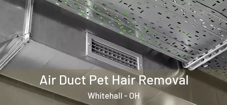 Air Duct Pet Hair Removal Whitehall - OH