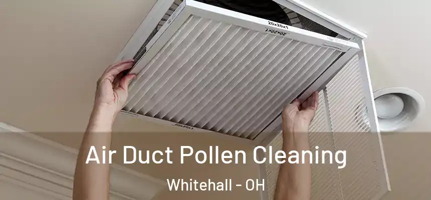 Air Duct Pollen Cleaning Whitehall - OH