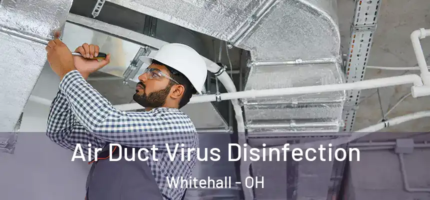  Air Duct Virus Disinfection Whitehall - OH