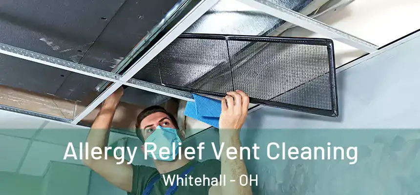 Allergy Relief Vent Cleaning Whitehall - OH