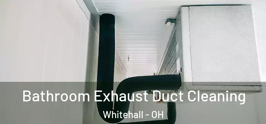  Bathroom Exhaust Duct Cleaning Whitehall - OH