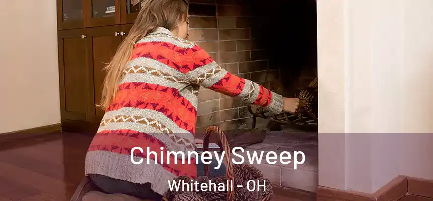 Chimney Sweep Whitehall - OH