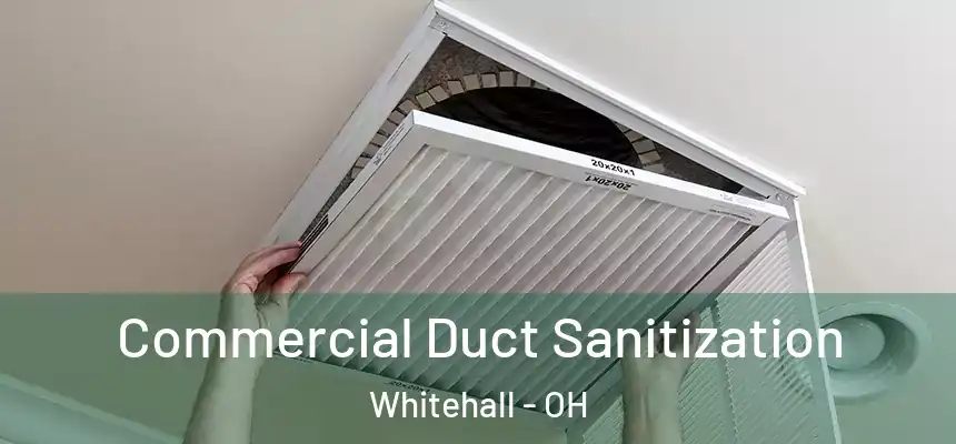 Commercial Duct Sanitization Whitehall - OH