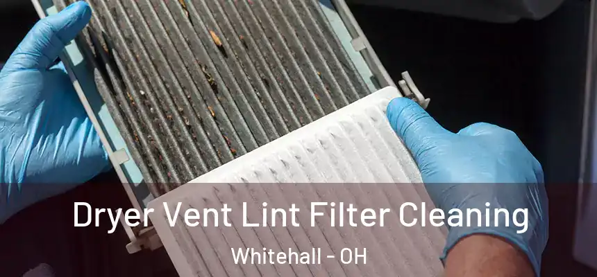 Dryer Vent Lint Filter Cleaning Whitehall - OH