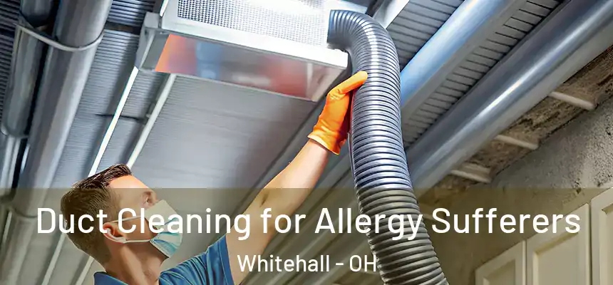 Duct Cleaning for Allergy Sufferers Whitehall - OH