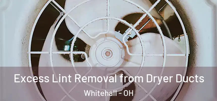 Excess Lint Removal from Dryer Ducts Whitehall - OH