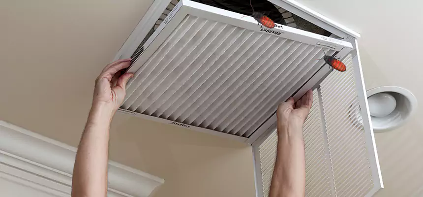Preventive Cockroach-Proofing for Ducts in Whitehall