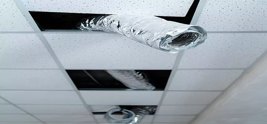 Our Air Duct Pet Hair Removal Services in Whitehall, OH