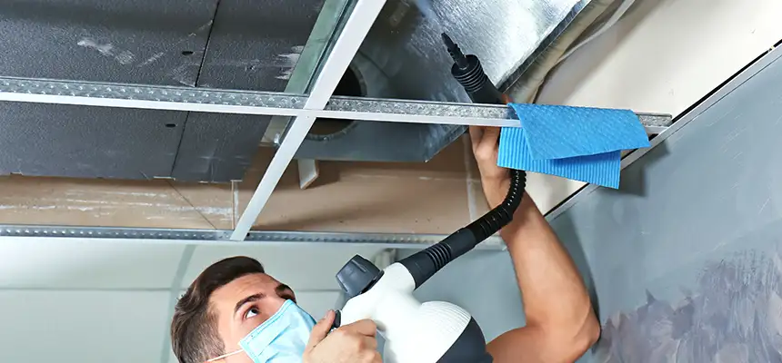 Our Air Duct Rodent Removal Services in Whitehall, OH