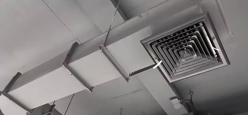 Our Pest Removal From Ducts Services in Whitehall, OH