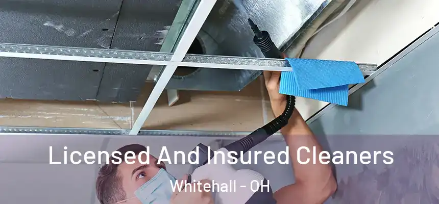 Licensed And Insured Cleaners Whitehall - OH