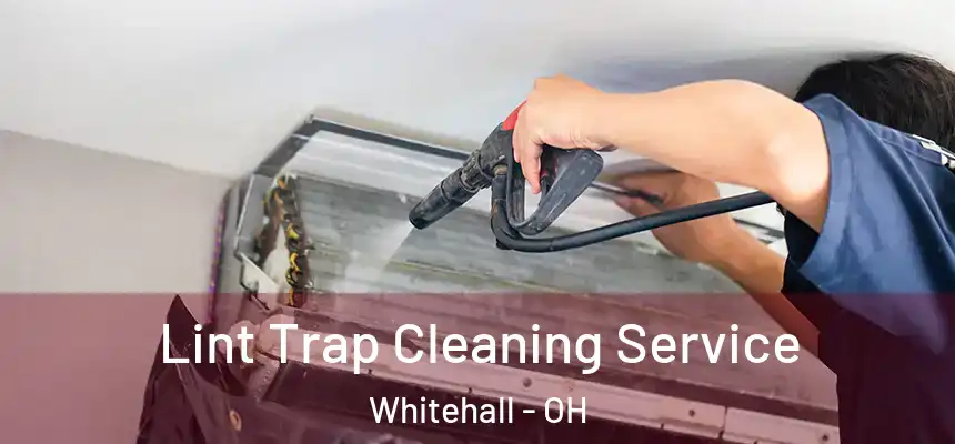 Lint Trap Cleaning Service Whitehall - OH