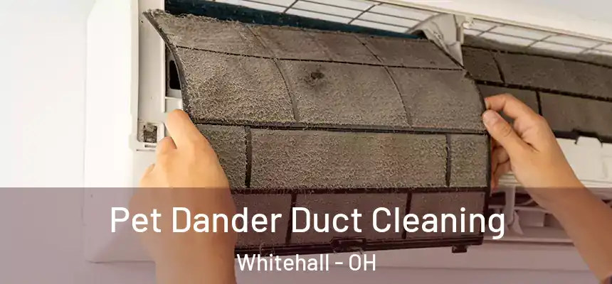  Pet Dander Duct Cleaning Whitehall - OH