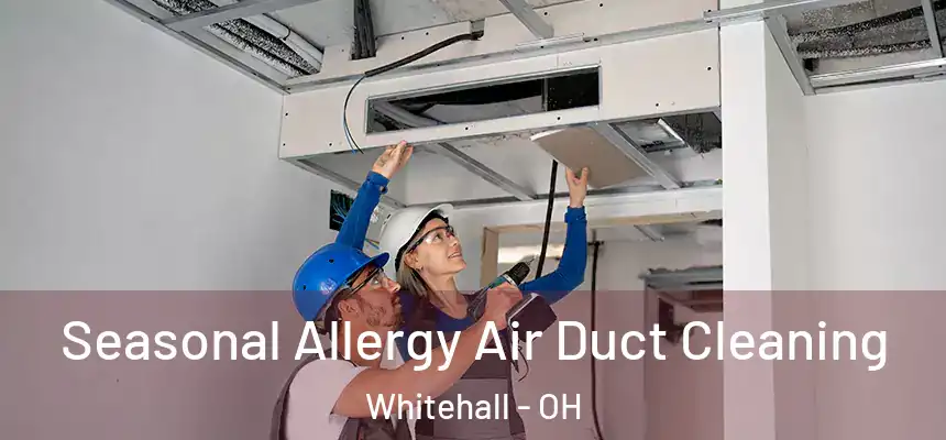 Seasonal Allergy Air Duct Cleaning Whitehall - OH
