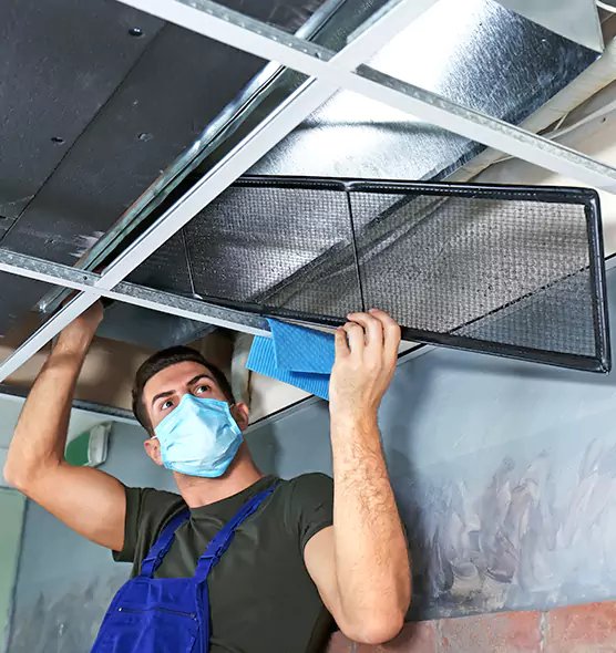 About Air Duct Bacteria Removal in Whitehall