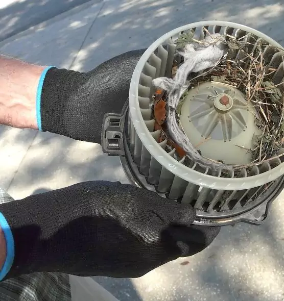 About Air Duct Rat Removal in Whitehall, OH