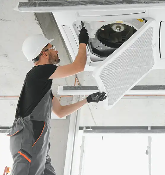 About Air Duct Rodent Removal in Whitehall, OH