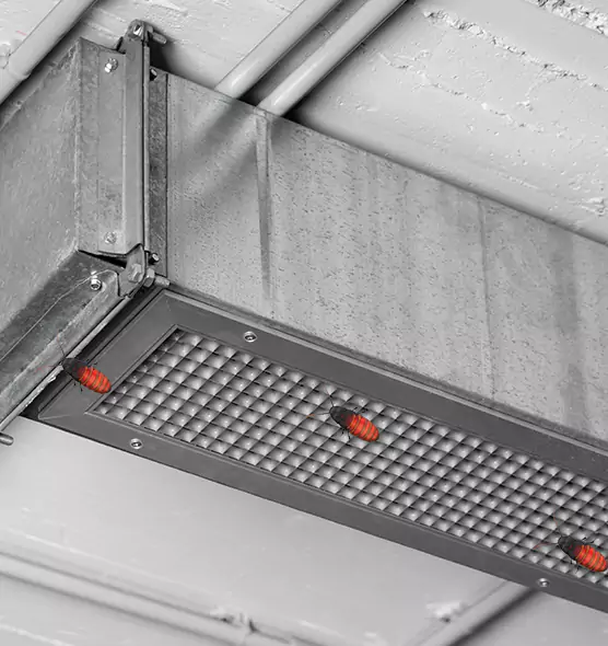 Affordable Insect Removal from Air Ducts in Whitehall, OH