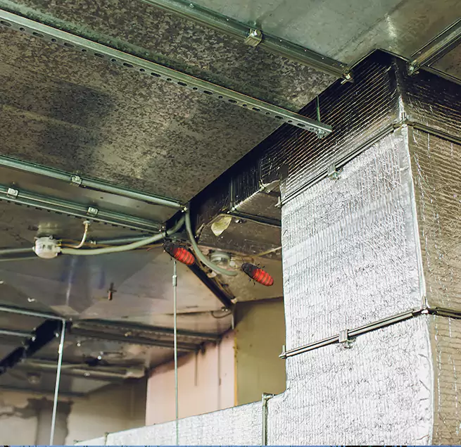 Why Homeowners & Businesses Trust Us in Whitehall, OH?