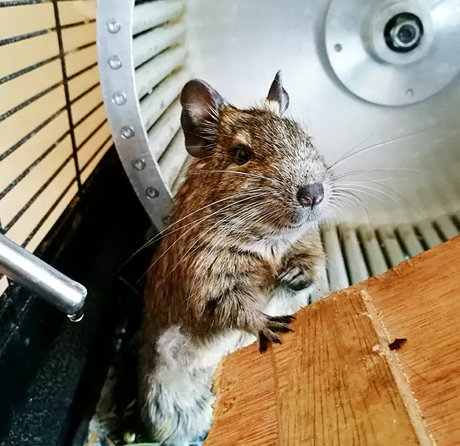 Why Homeowners & Businesses Trust Us Whitehall, OH