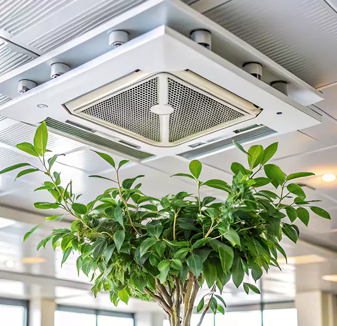 Why Homeowners & Businesses Trust Us in Whitehall, OH