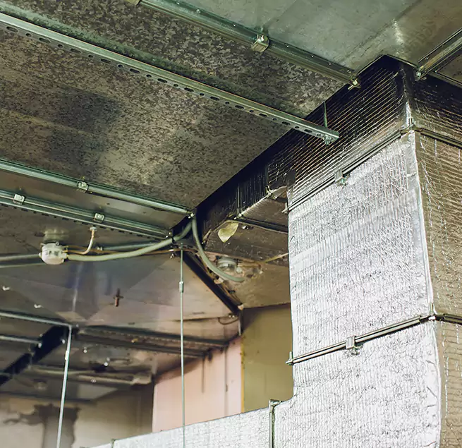 Why Homeowners & Businesses Trust Us in Whitehall, OH?