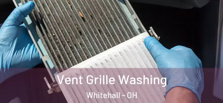 Vent Grille Washing Whitehall - OH