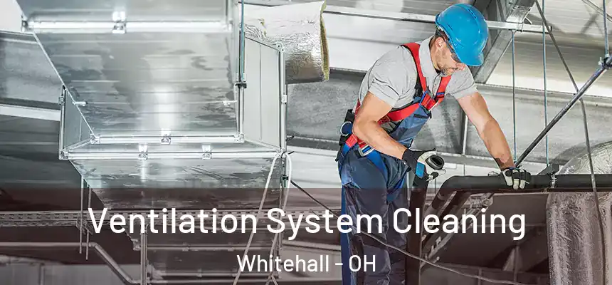  Ventilation System Cleaning Whitehall - OH